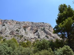 Valle de Leiva-Perdiz 2010